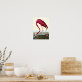 American Flamingo, John James Audubon Poster (Küche)