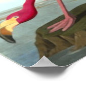 American Flamingo, John James Audubon Poster (Ecke)