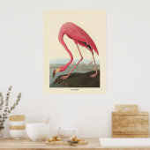 American Flamingo | John James Audubon Poster (Küche)