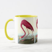 American Flamingo, John James Audubon Tasse (Links)