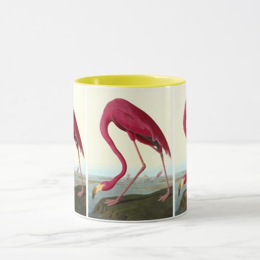 American Flamingo, John James Audubon Tasse (Zentrum)