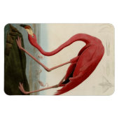 American Flamingo Magnet (Horizontal)