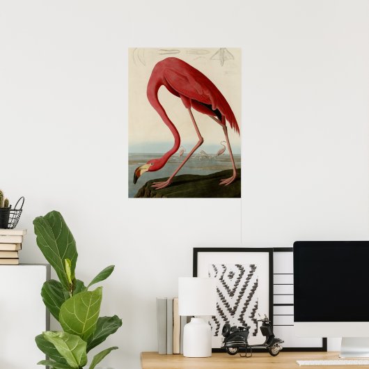 American Flamingo Poster (Heimbüro)