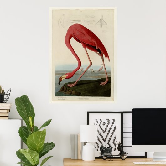 American Flamingo Poster (Heimbüro)