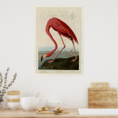 American Flamingo Poster (Küche)