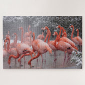 American Flamingo Puzzle (Horizontal)