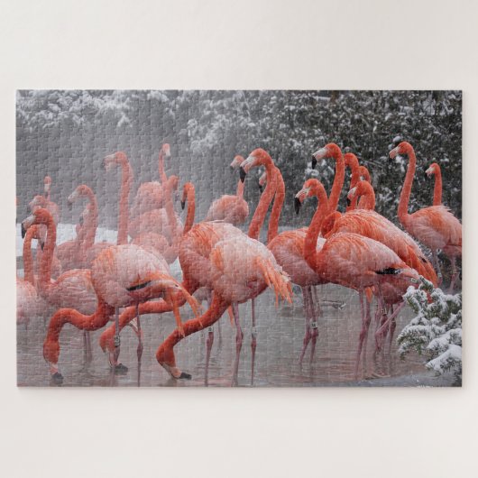 American Flamingo Puzzle (Horizontal)