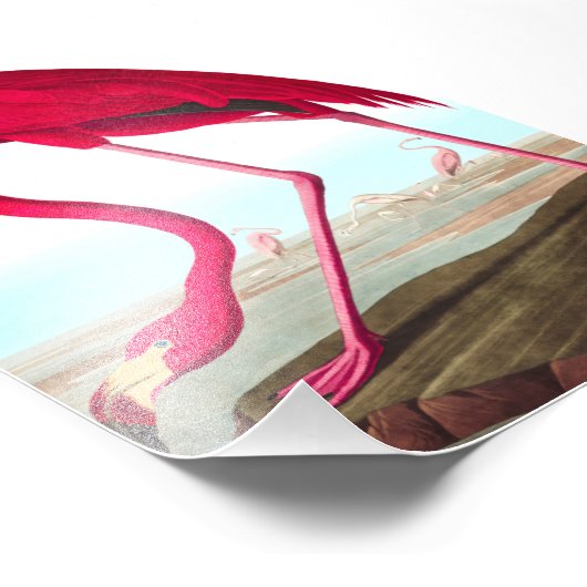 American Flamingo von John James Audubon Fotodruck (Ecke)