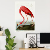 American Flamingo von John James Audubon Poster (Heimbüro)