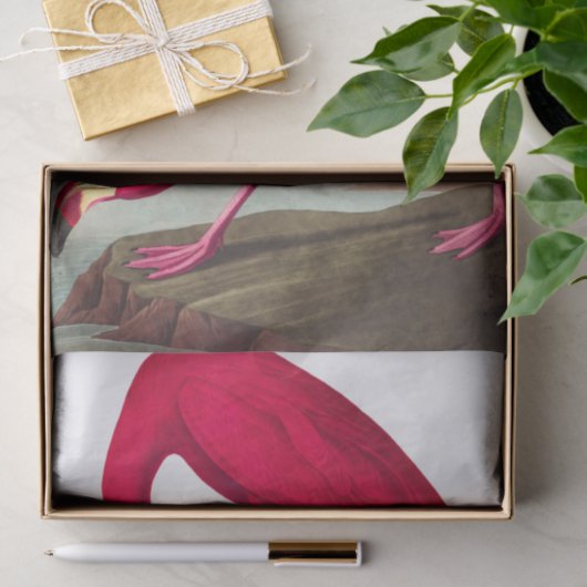 American Flamingo von John James Audubon Seidenpapier (Geschenk)