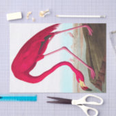 American Flamingo von John James Audubon Seidenpapier (Handwerk)