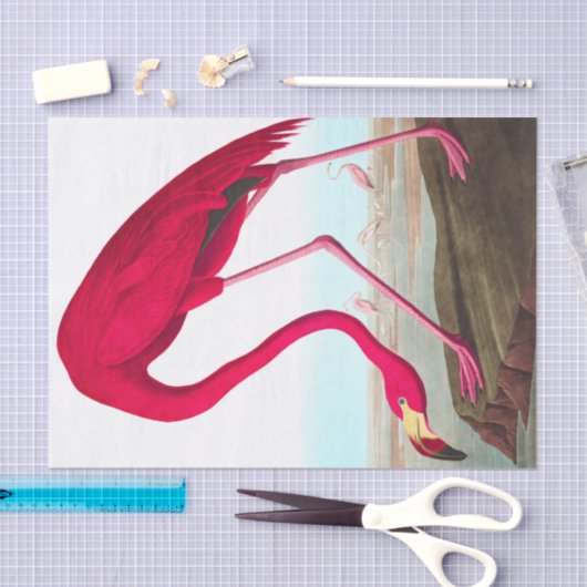 American Flamingo von John James Audubon Seidenpapier (Handwerk)
