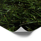 American football on grass, view from oben poster (Ecke)