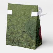 American Football Zelt Geschenkschachtel (Rückseite)