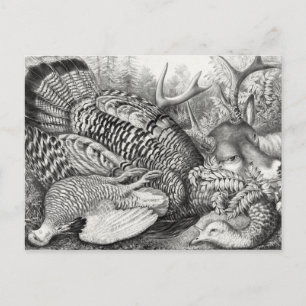 "American Forest Game"-Postkarte Postkarte