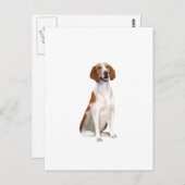 American Foxhound (A) Postkarte (Vorne/Hinten)