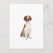 American Foxhound (A) Postkarte (Vorderseite)