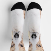 American Foxhound Painting - Niedliche Original Do Socken (Oben)