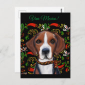 American Foxhound Postkarte (Vorne/Hinten)
