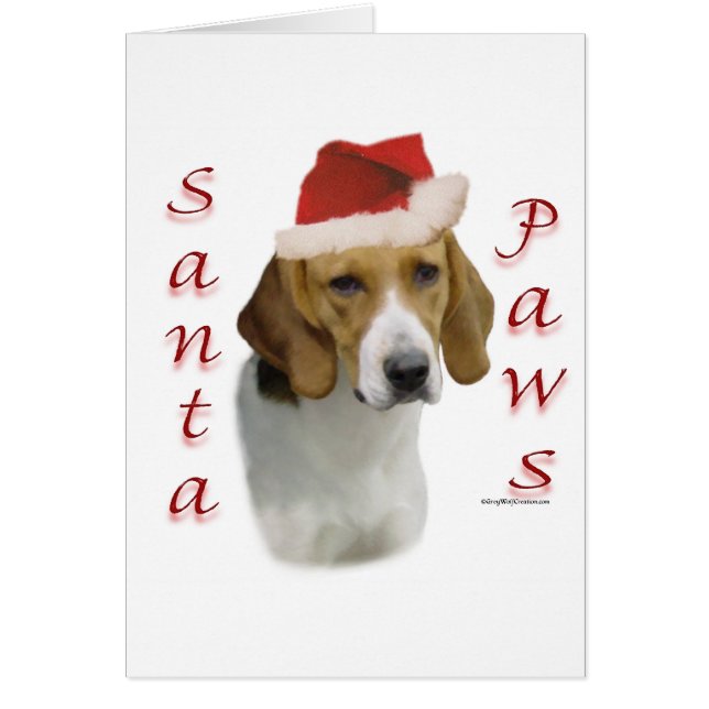 American Foxhound Santa Paws (Vorne)