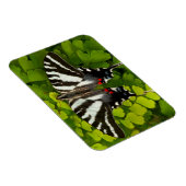 American Frack Butterfly Magnet (Rechte Seite)