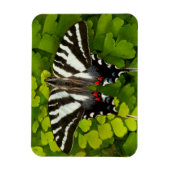 American Frack Butterfly Magnet (Vertikal)