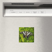 American Frack Butterfly Magnet (In Situ (Geschirrspüler))