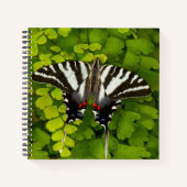 American Frack Butterfly Notizblock (Vorderseite)
