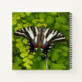 American Frack Butterfly Notizblock (Rückseite)