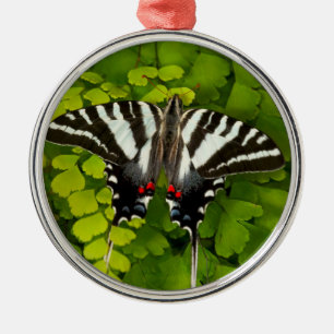 American Frack Butterfly Ornament Aus Metall