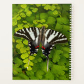 American Frack Butterfly Planer (Rückseite)