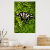 American Frack Butterfly Poster (Küche)