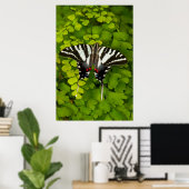 American Frack Butterfly Poster (Heimbüro)