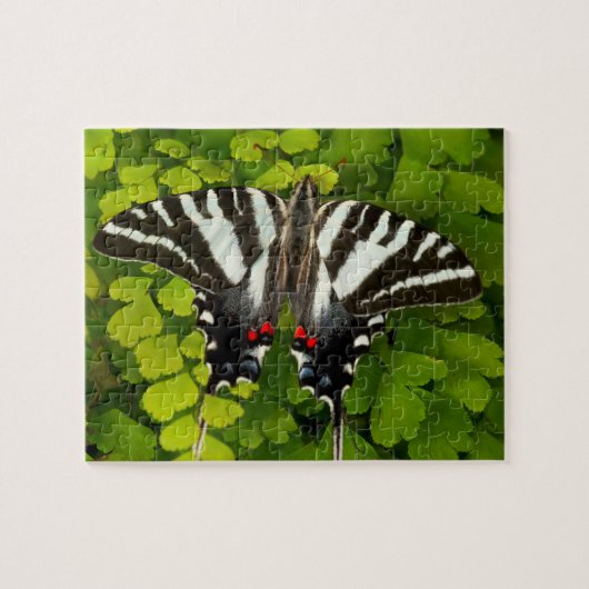 American Frack Butterfly Puzzle (Horizontal)