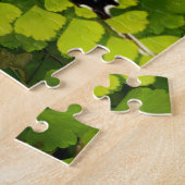 American Frack Butterfly Puzzle (Seite)