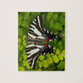 American Frack Butterfly Puzzle (Vertikal)