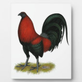 American Game BB Black Red Rooster Fotoplatte (Vorderseite)