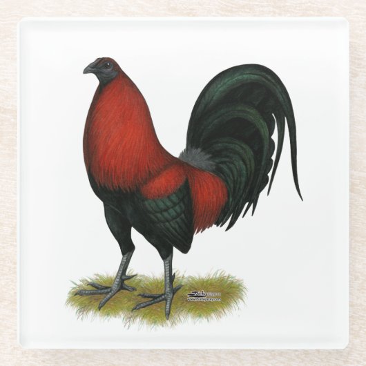 American Game BB Black Red Rooster Glasuntersetzer (Vorderseite)