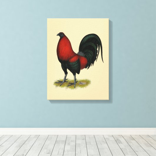American Game BB Black Red Rooster Leinwanddruck (Insitu (Holzboden))
