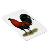 American Game BB Black Red Rooster Magnet (Rechte Seite)