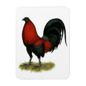 American Game BB Black Red Rooster Magnet (Vertikal)
