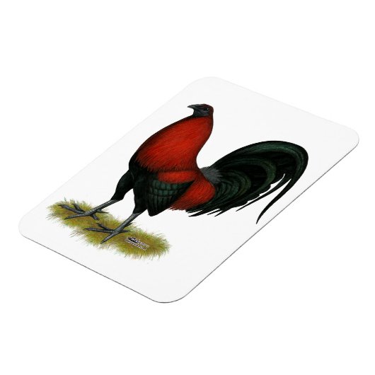 American Game BB Black Red Rooster Magnet (Linke Seite)