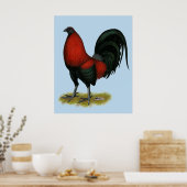 American Game BB Black Red Rooster Poster (Küche)
