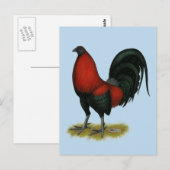 American Game BB Black Red Rooster Postkarte (Vorne/Hinten)