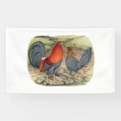 American Game Blue Reds Banner (Horizontal)