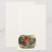 American Game Blue Reds Briefpapier (Vorne/Hinten)