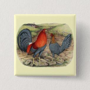 American Game Blue Reds Button