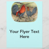 American Game Blue Reds Flyer (Vorne)