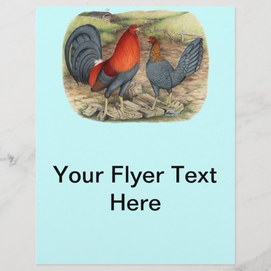 American Game Blue Reds Flyer (Vorne)