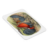 American Game Blue Reds Magnet (Rechte Seite)